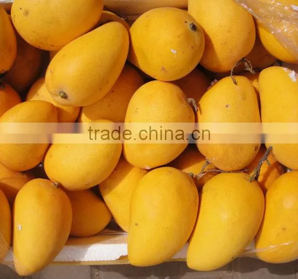 Vietnam Mango