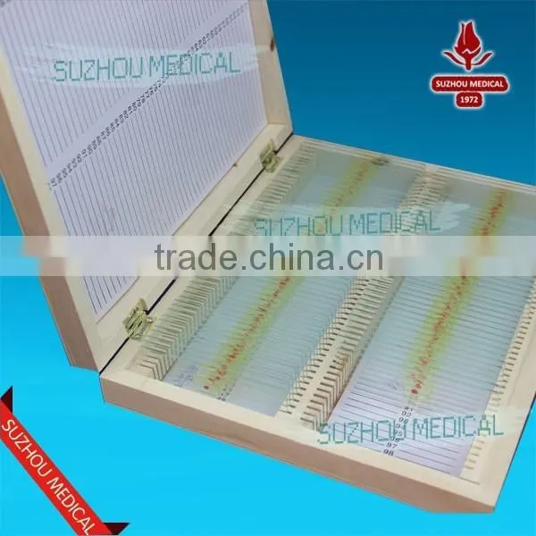 100pieces Set Mixed Prepared Slides photo-2
