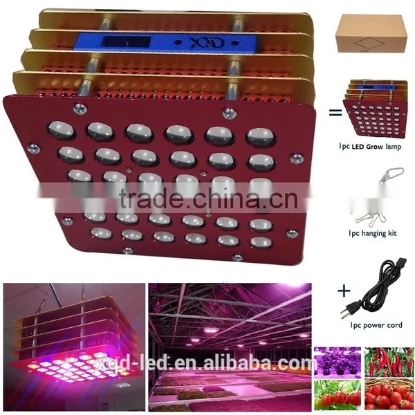 XQD 72W Full Spectrum LED Grow Light for Medical Flower Veg photo-6