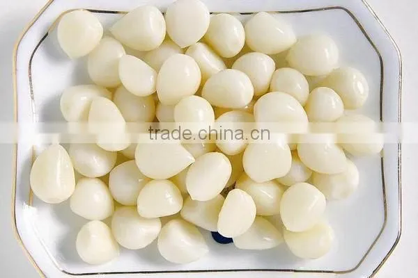 2016 Fresh Natural White Garlic or Red Garlic photo-3