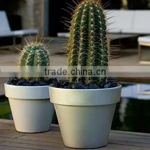 Luxury Top Quality Floating Bonsai Pot Fiberglass Plants Container and Flowers Pots photo-3