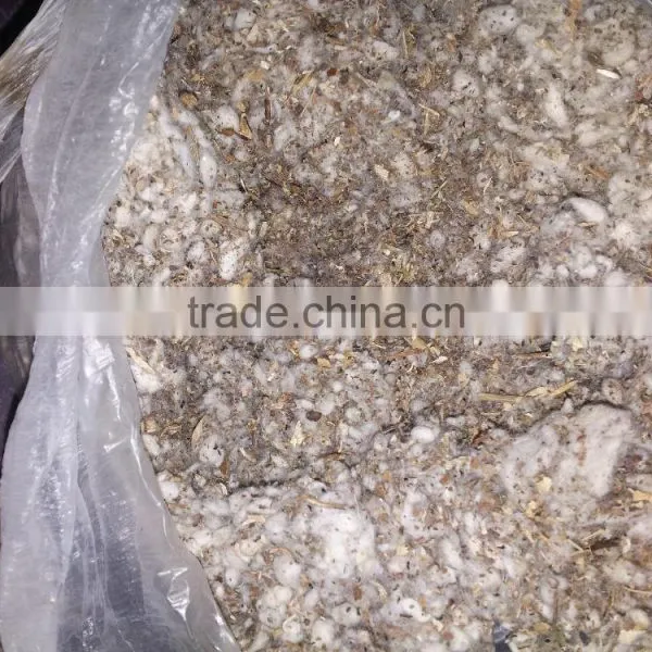 Cotton Gin Motes photo-2