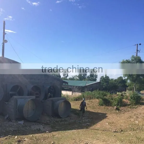 Low Price Philippines Poultry Farm House Design Broiler Chicken Raising Equipment photo-6