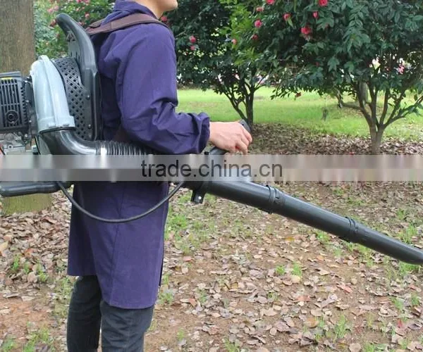 2HP Gasoline Snow Blower, Leaf Blower photo-6