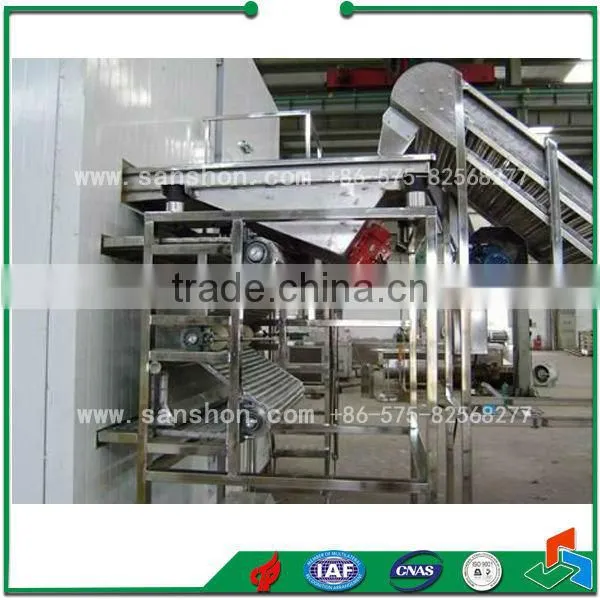 China IQF Frozen Fruit Freezer Quick Freezing Machine photo-5