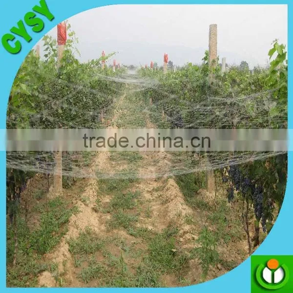100% Virgin pe Extrded Black Quality Garden Bird Netting for Tomatoes/grapes/strawberries/blueberries photo-5
