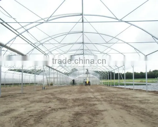 High Quality Greenhouse Roofing Material for Sale photo-3
