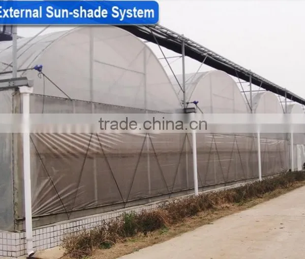 Professional Multi-Span Pvc Covered Greenhouse For Agricultural Planting photo-4