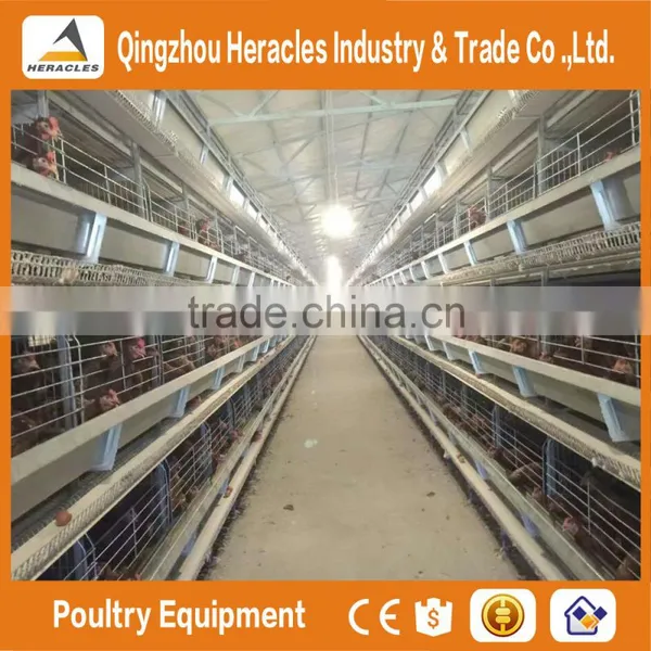 Heracles Factory Price Poultry Equipment Automatic Layer Chicken Egg Cages photo-3