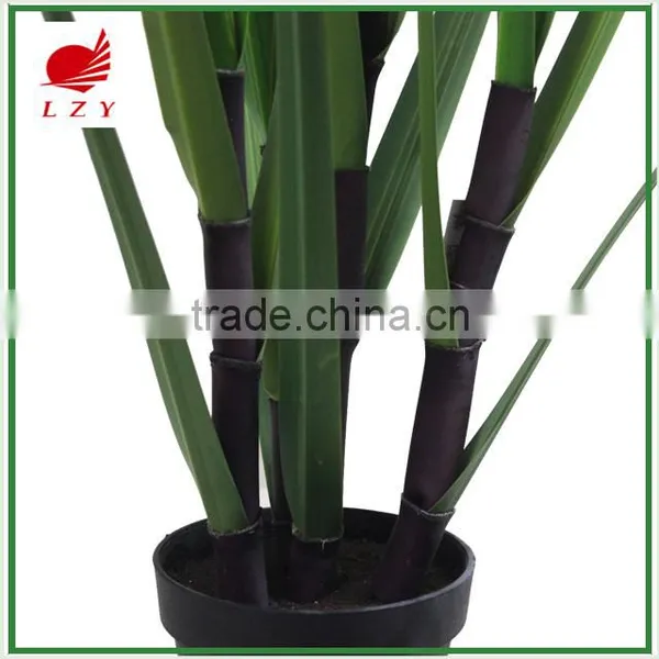 Factory Direct Sale Large Garden Decoration Onion Grass photo-3