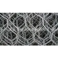 PVC/Galvanized Hexagonal Wire Netting photo-3