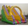 Inflatable Cartoon Slide