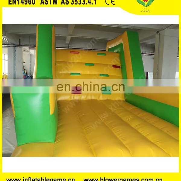 Rock Climbing Slide Giant Inflatable Water Toys For Sale photo-3