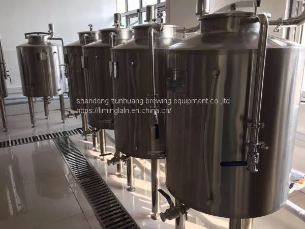 Fruit Wine Fermentation photo-5