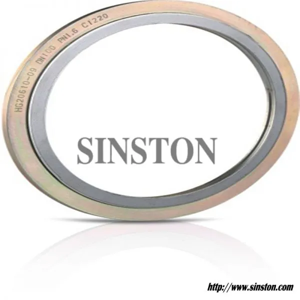 With Outer Ring Type Spiral Wound Gasket
