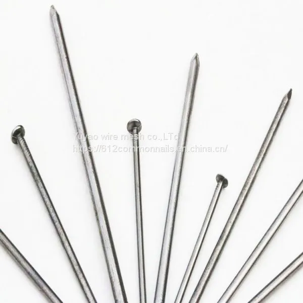 Wholesale Bulk Factory Common Nail photo-5