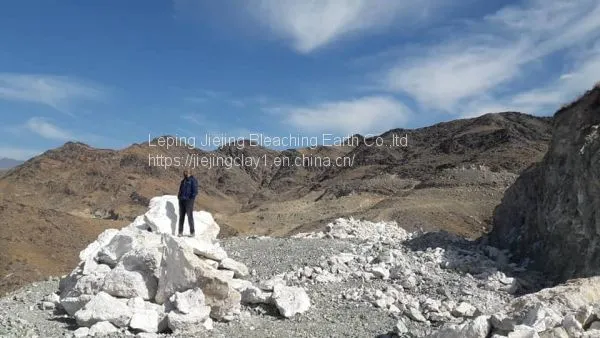 Gypsum Retarder Powder Manufacturers Plaster Powder photo-3