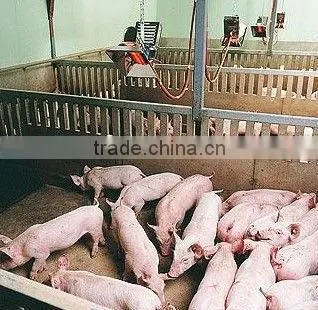Infrared Catalyst Gas Heater for Poultry Farm (HD2606) photo-5