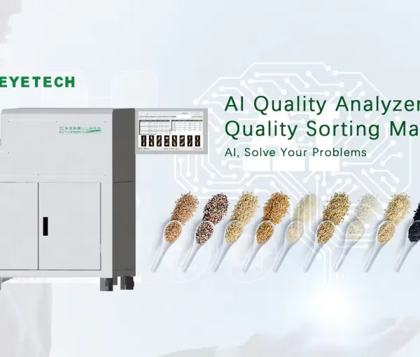 Advanced High Efficiency AI Visual Quality Analyzer for Grains and Nuts Classification Grading Machine photo-3