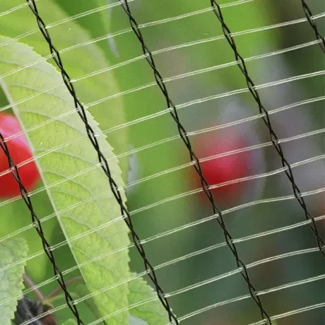 Leno Weave Anti Hail Net HDPE PE Material Anti Hail Net for Orchard Farm photo-4