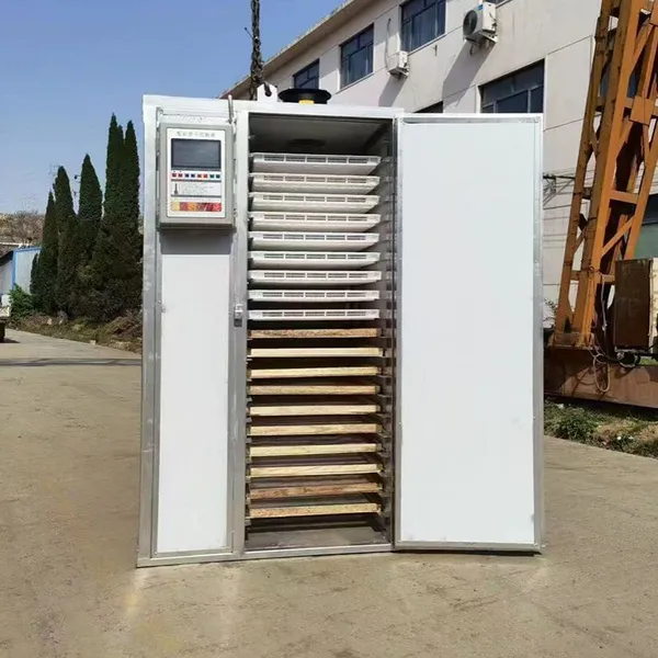 Fruit Drying Room, Papaya and Mango Drying Equipment, Hot Air Food Drying Room photo-6