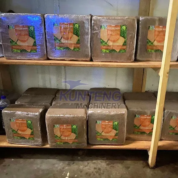 Heavy Duty Coconut Pith Block Making Machine Sri Lanka Coco Peat Briquetting Machine photo-2