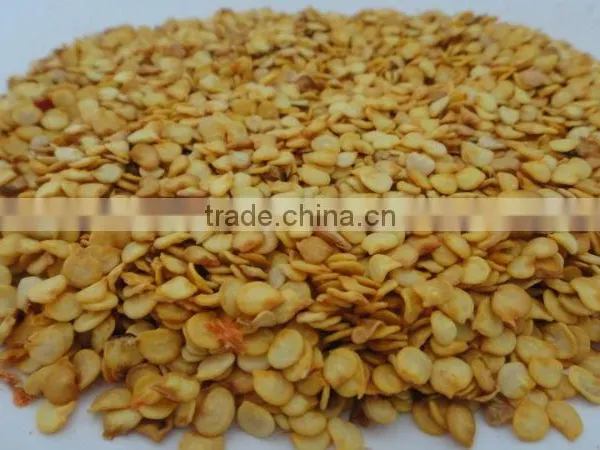 China Exported Red Hot Chilli Pepper Seeds photo-4