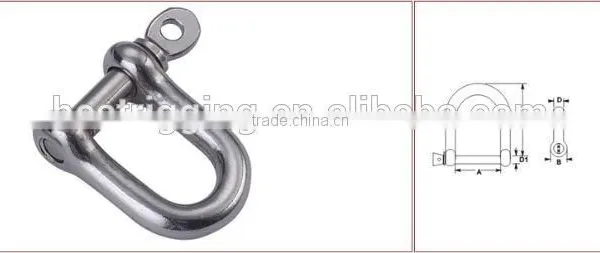 Galvanize Carabiner Wholesale Stainless Steel Aisi 316 304 European Type Dee Drop Forged D Shackle Quick Hardware Manufacture photo-4