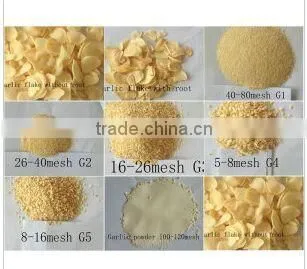 Garlic Seasoning 8-16 Mesh /Garlic Granule/White Garlic/vegetarian Seasoning