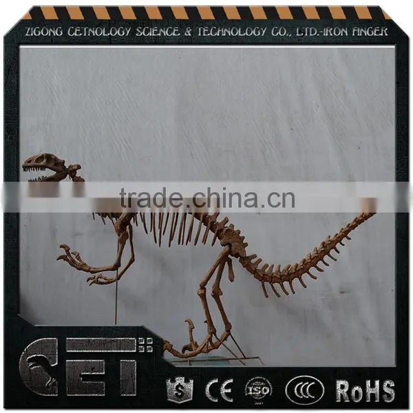 Hot Sale High Quality Dinosaur Skeleton Model Simulated Dinosaur Skeleton photo-4