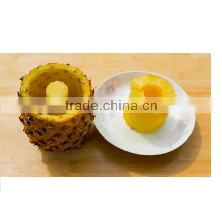 Very Popular Products of Pineapple Slicer photo-4