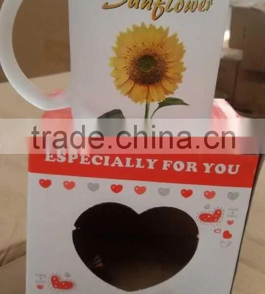 Frosted Glass Tea Mug With Plastic Lid 350ML Promotional Cup photo-2