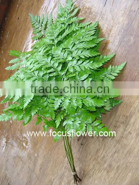 Home Decor Fresh Leather Leaves Fern For Wedding Leather Process Plant Fern photo-4