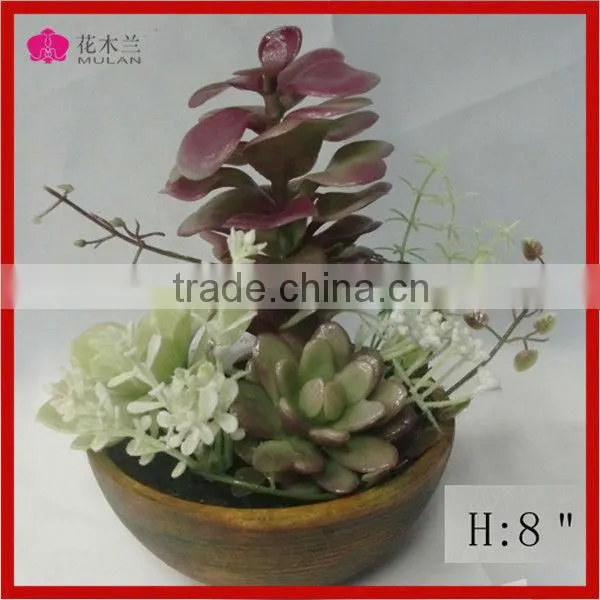 Wholesale Artificial Succulents for Decorative pe Succulents