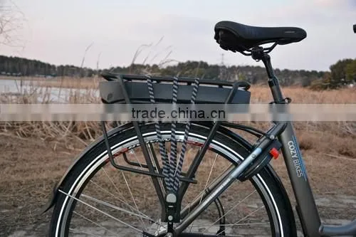 Mid Drive Motor Electric Bicycle With Front and Rear Roller Brake ,250w Central Motor Max System Bosch Shape photo-3