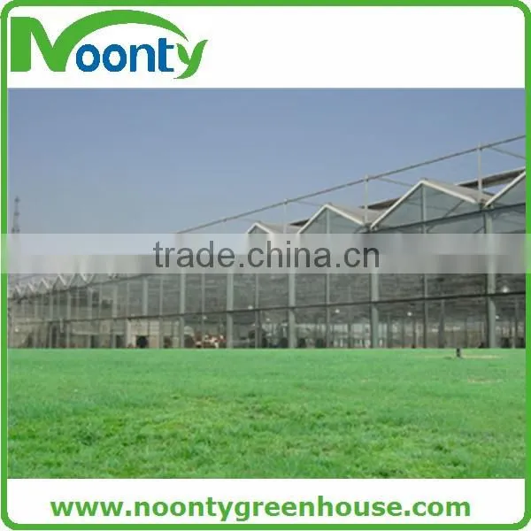 Commercial Glass Greenhouse photo-6