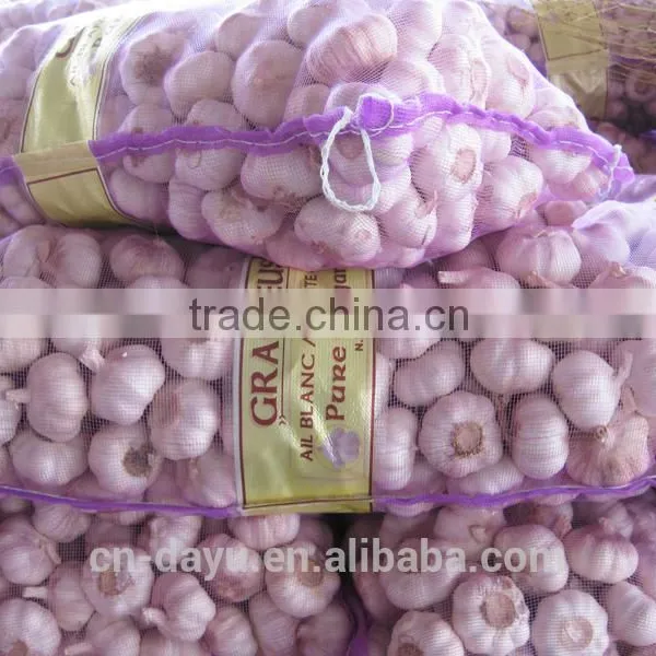 Red White Garlic Supplier 2016 photo-3