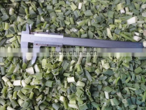 IQF Scallions photo-5