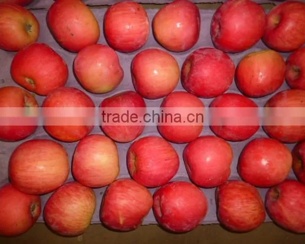 Fresh Apple,fuji Apple,apple photo-4