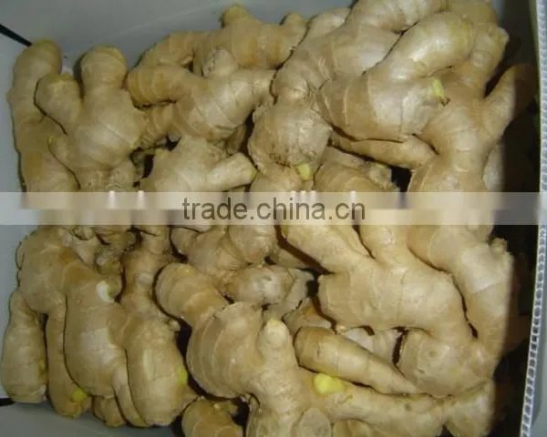 Fresh Air Dried Ginger photo-3