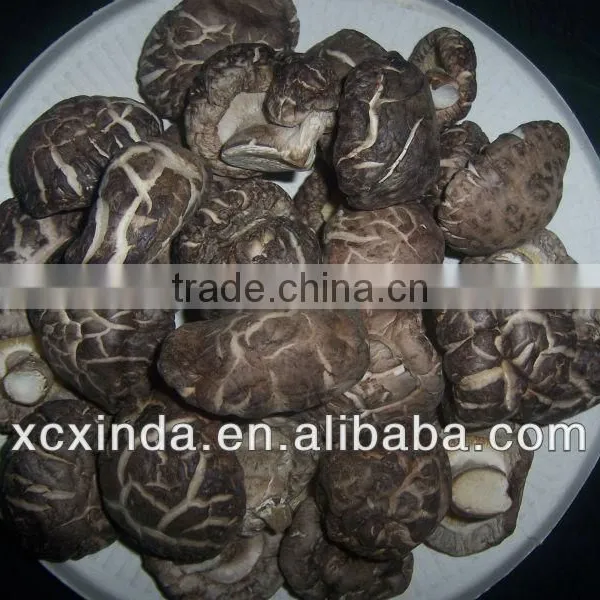 2015 Export Shiitake Mushroom ,Best Nutrition Flower Mushroom