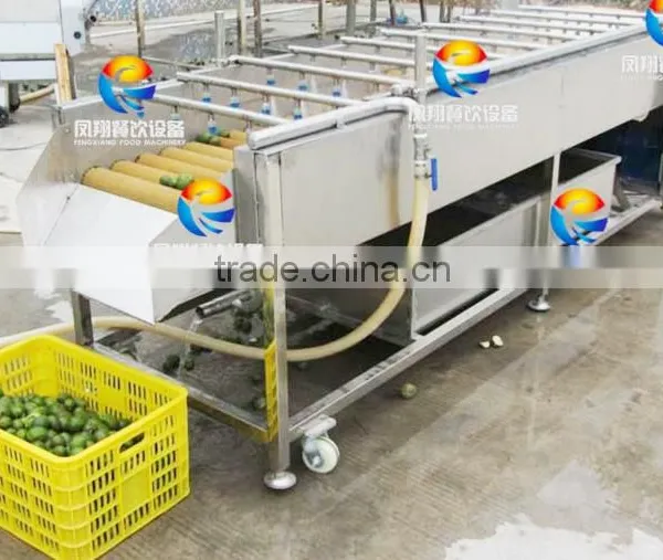 Industrial Watermelon/Orange/Apple Washing Machine With Roller Brushes photo-3