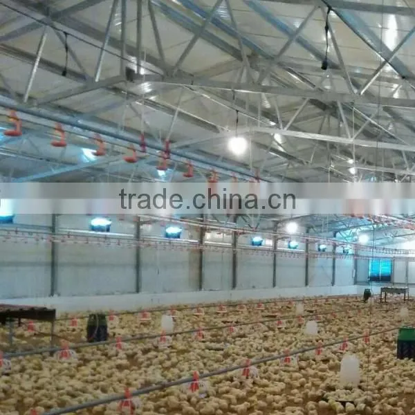 Good Quality Live Stock Poultry Chiken House