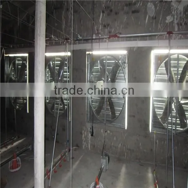 Hot Sale!automatic Broiler Feeding System photo-2