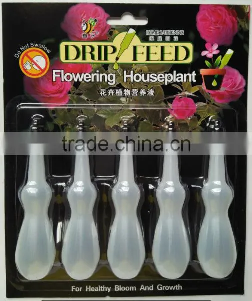 Drip feed flowering houseplant