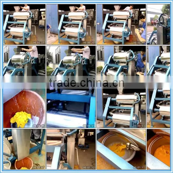 40 Years Factory Price Automatic Mango Pulping Machine photo-5