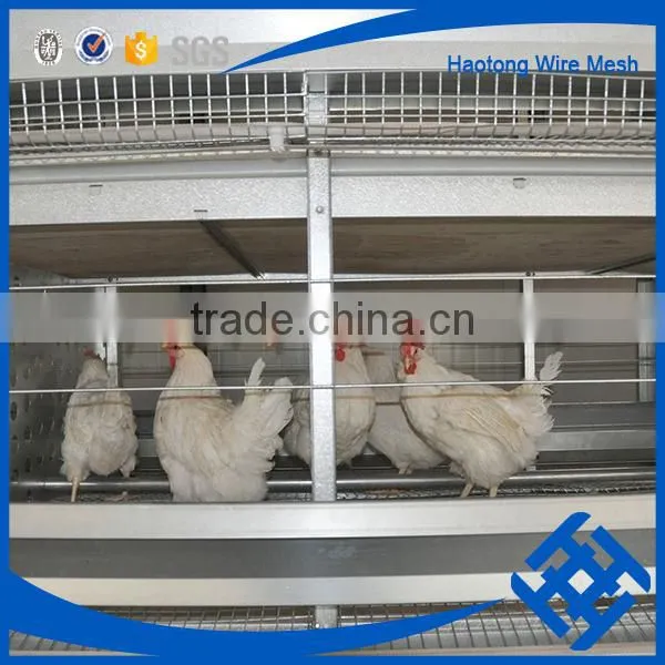 Wholesale Chicken Cage H Type Best Price Poultry Farm Egg Layer photo-5
