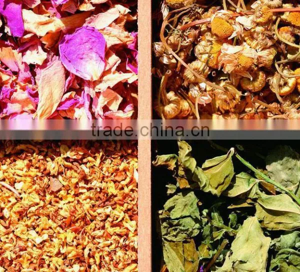 High Efficiency TQ Series Chinese Medicinal Herb Extracting Pot photo-3