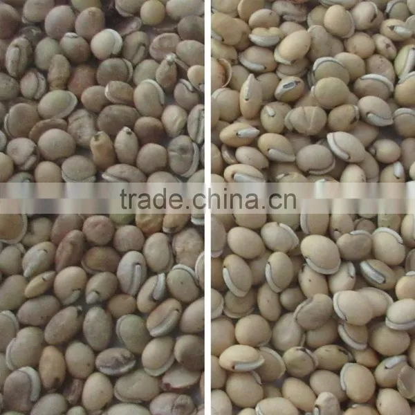 New Software CCD Beans Color Sorting Machine / Raisin Color Sorter / Rice Color Sorter With Factory Price photo-5