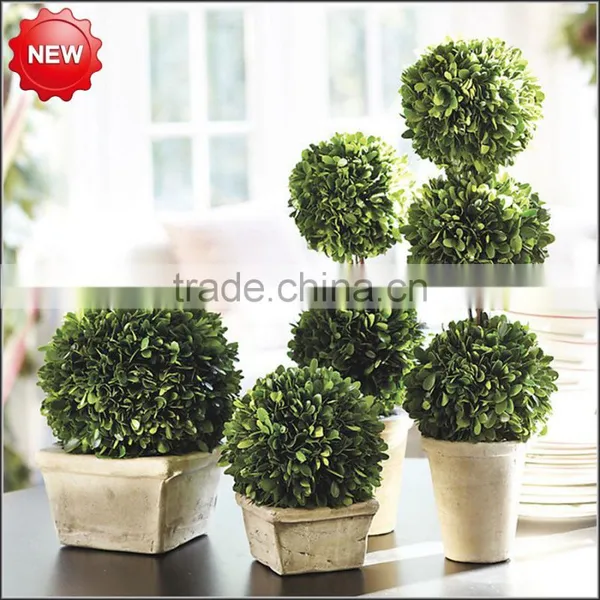 Fresh Keep Boxwood Ball Topiary